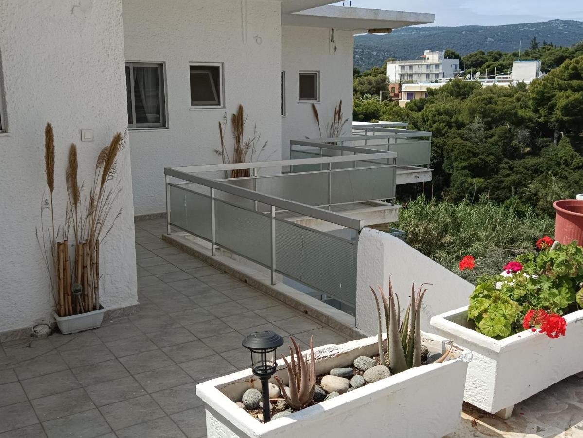Meltemi Apartments Agia Marina  Exterior foto